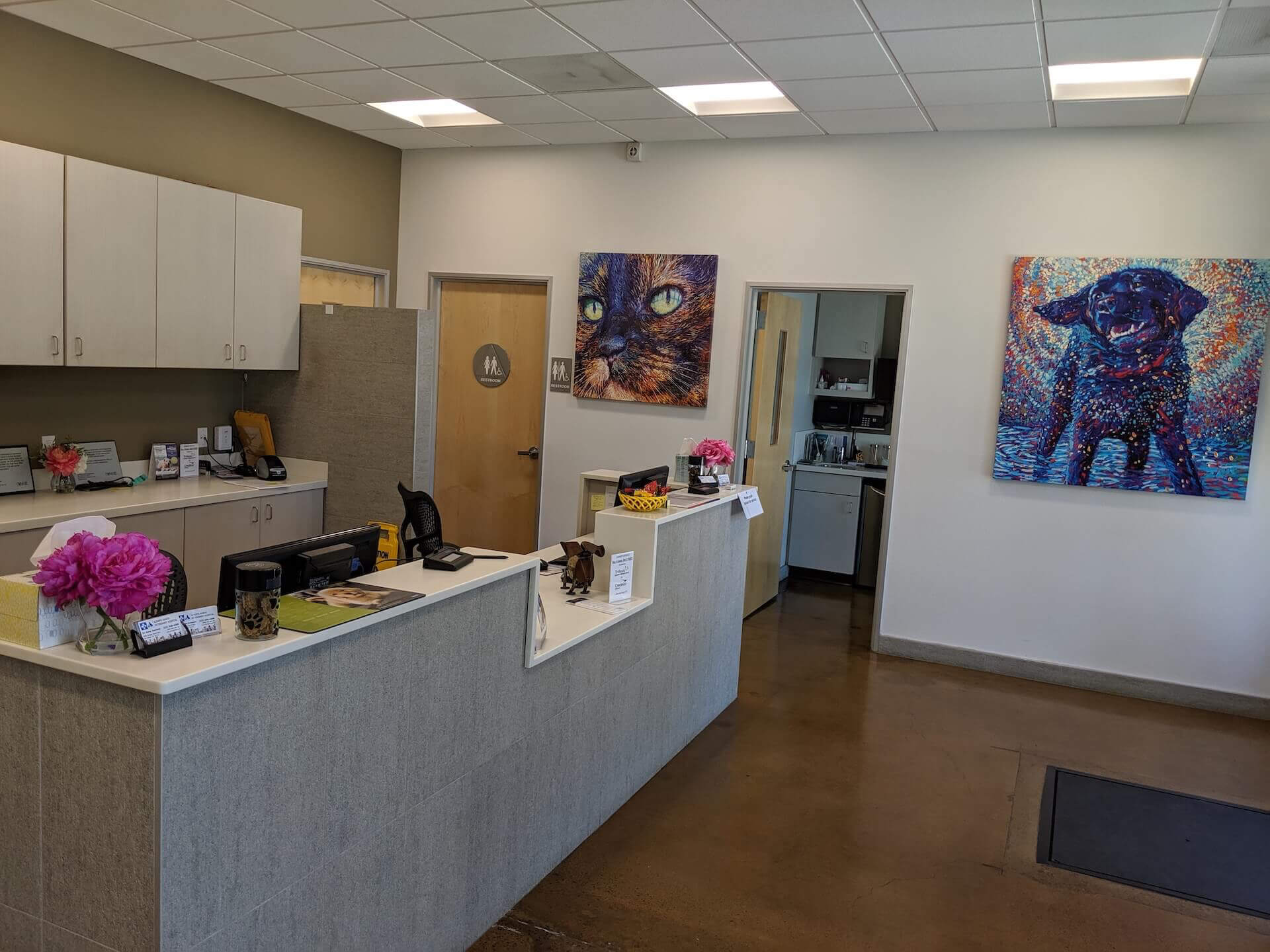 San Diego Veterinarian