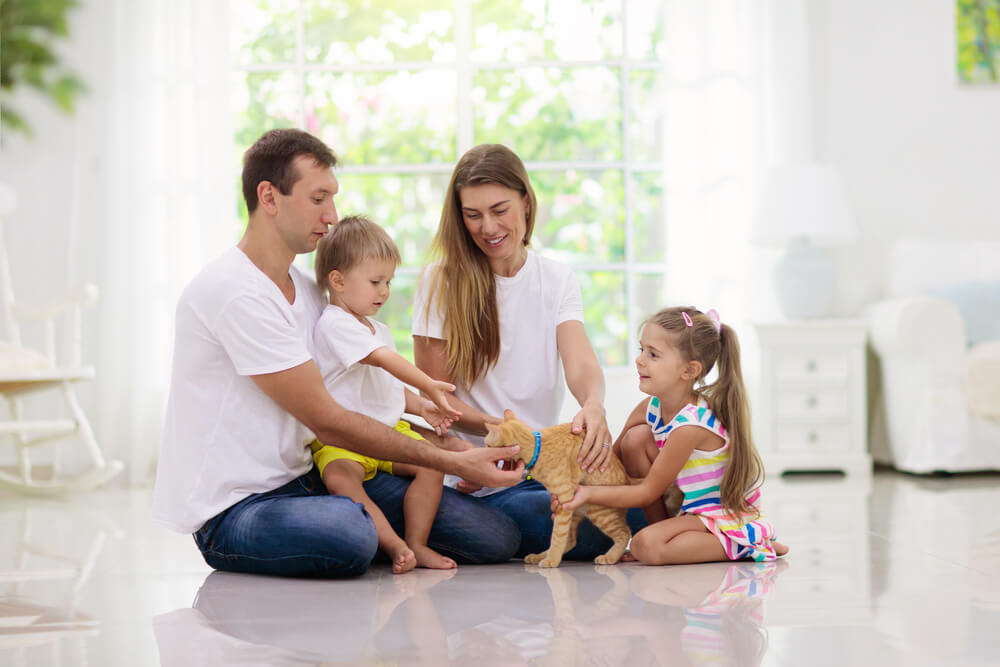 Young family sitting on the floor together petting a ginger kitten at home, representing choosing a new pet with children in San Diego