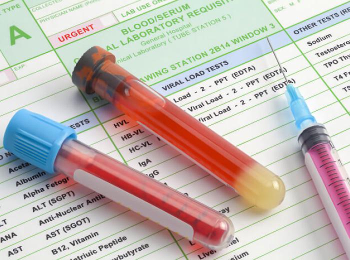Decoding Your Pet’s Blood Work
