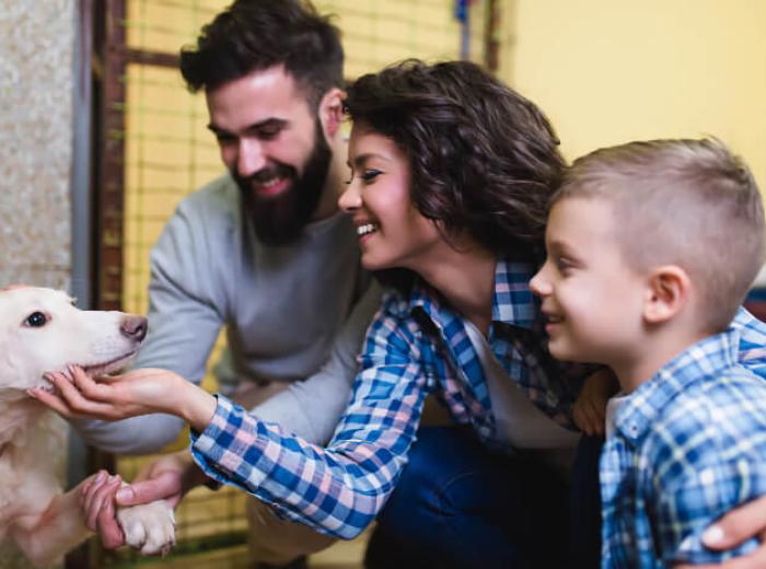 The Who, What, When, Where, Why, and How of Choosing a New Pet – Especially If You Have Children