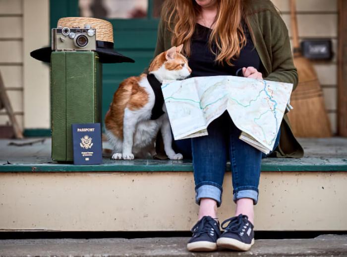 Bone-Voyage—4 Steps to Pet Travel Success
